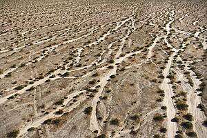 Aerial view of desert landscape with washes and bushes