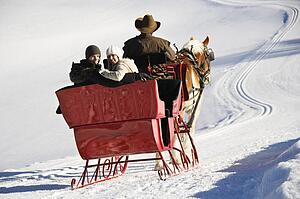 Horse drawn sleigh with young couple 