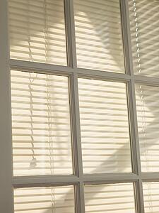 Blinds behind paned window.