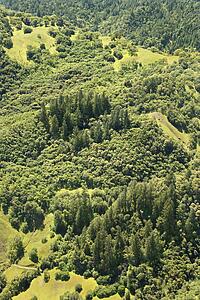 Aerial of lush mountainous landscape with trees