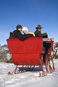 couple looking over shoulder from horse drawn sleigh