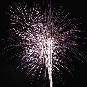 Colorful fireworks exploding in night sky.