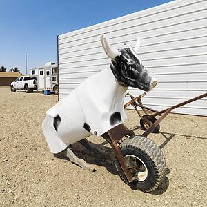 Practice lasso cow dummy on ranch.