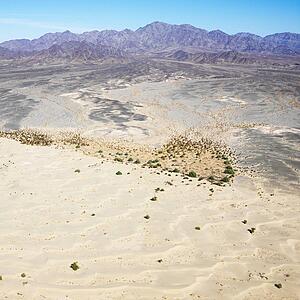 California desert with mountain range in background