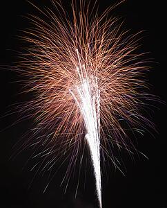 Colorful fireworks exploding in night sky.