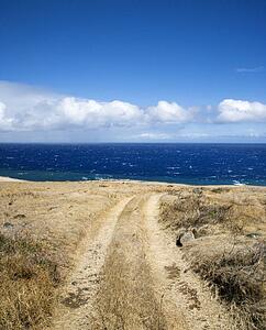 Dirt road leading to secluded beach in Maui, Hawaii.