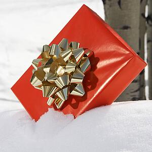 Red present with gold bow placed in snow with birch tree in background.