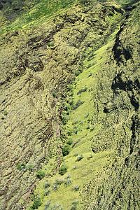 Aerial view of lush rainforest on Maui, Hawaii