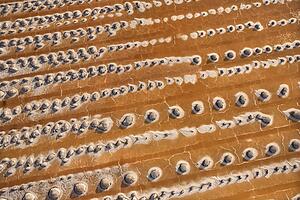 Alkali flat in Owens Valley, California, USA