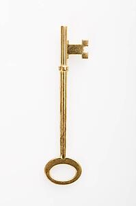 Brass skeleton key.
