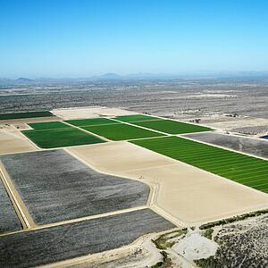 Aerial view of agricultural cropland in Arizona.