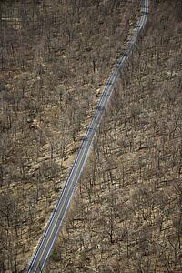 Aerial view of two lane road through barren rural forest. 