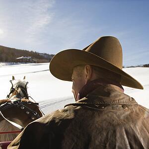 Man holding reins of draft horse in winter