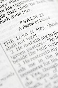 Selective focus of Psalm verses in open Holy Bible.