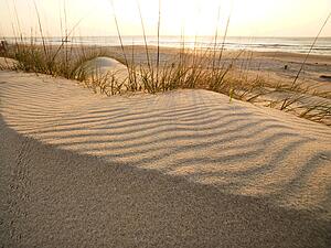 Sandy beach with ocean in background.