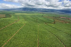 Aerial of irrigated cropland in Maui, Hawaii