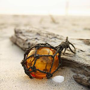 Glass globe net float with driftwood on beach.