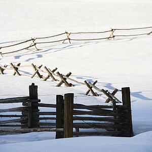 Fence in snow covered landscape