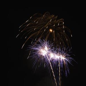 Colorful fireworks exploding in night sky.