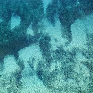 Clear water revealing tropical ocean floor.