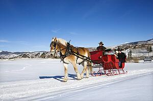 Young couple and mid adult man on horse drawn sleigh ride through winter landscape.