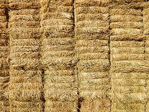 Close up of bales of hay