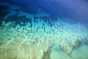 Colorful tropical ocean floor seen through clear water