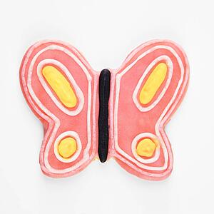 Butterfly sugar cookie with decorative icing.