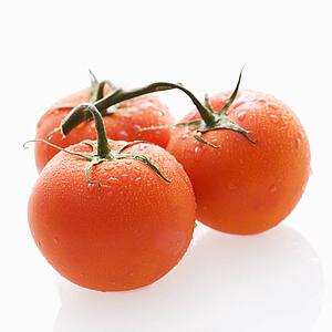 Three wet red ripe tomatoes on vine against white backgroound.