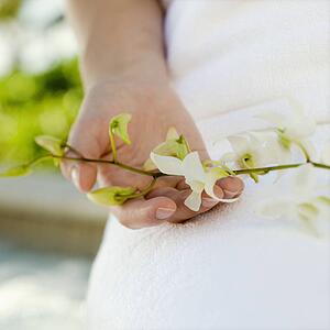 Woman's hand holding white orchids