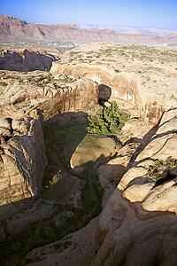 Aerial of desert canyon landscape in Utah, USA