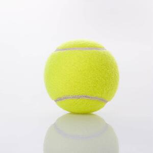 Single tennis ball