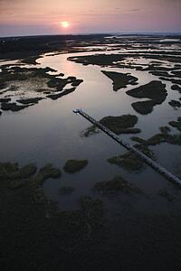 Aerial view of pier in coastal wetland on Bald Head Island, North Carolina.