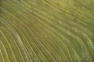 Aerial of cultivated agricultural field.