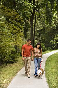 Couple walking English Bulldog in park
