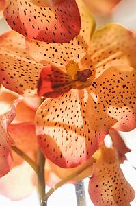 Detail shot of artificial orchid.