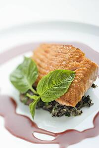 Still life of gourmet salmon meal with professional presentation.