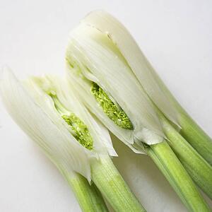 Close up of stalk and bulb of fennel cut in half.