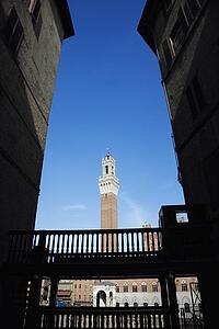 Torre del Mangia tower framed by buildings in alley.