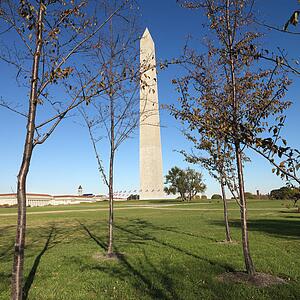 Washington Monument in Washington, D. C., USA.