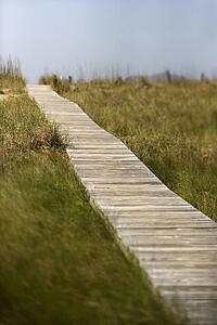 Wooden access path to beach on Bald Head Island, North Carolina