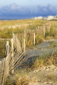 Natural sand dune beach area