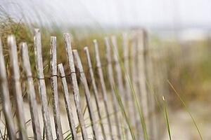 Weathered wooden fence on sand dune