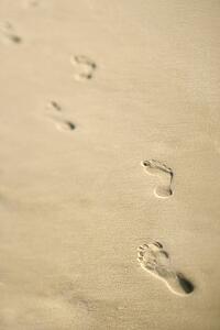 Scenic sandy coastline with footprints.