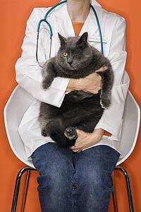 Female veterinarian holding cat with one eye