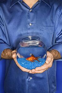 Male holding goldfish in bowl
