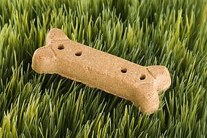 Studio shot of a dog treat laying in grass