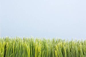 Strip of artificial green grass against blue background
