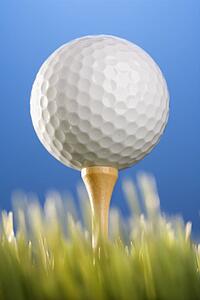 Studio shot of a golf ball on a tee in grass