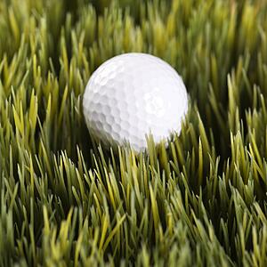 Studio shot of golf ball resting in grass